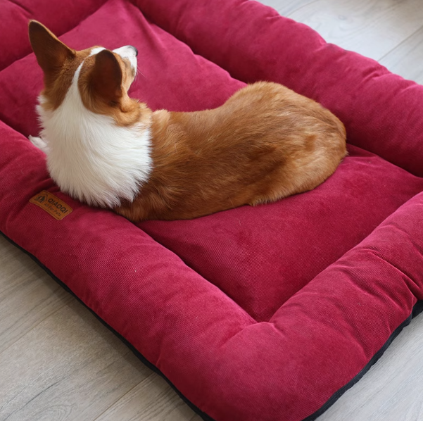 https://fulmo-img-server.com/dog-bed-lab/1730090924270_awrca337_ã¹ã¯ãªã¼ã³ã·ã§ãã 2024-10-28 134810.png